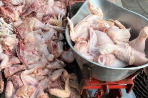 Harga Ayam Potong di Banyuwangi Tembus Rp36 Ribu per Kilogram