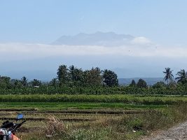 Asap Putih Muncul di Sekitar Gunung Raung Banyuwangi, Petugas Waspadai Kemungkinan Kebakaran Hutan