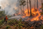 Hutan Gunung Raung Banyuwangi Sempat Terbakar, Jalur Pendakian Ditutup