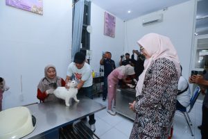 Vaksinasi Rabies Gratis di Banyuwangi, Ratusan Kucing dan Anjing Diperiksa