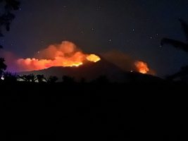 Kebakaran Gunung Ijen Meluas hingga Jalur Pendakian, Api Dekati Pondok Bunder