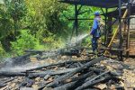Kandang Ternak di Boyolangu Banyuwangi Terbakar, Kambing Warga Mati Terpanggang