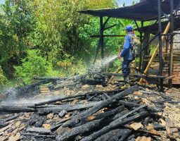 Kandang Ternak di Boyolangu Banyuwangi Terbakar, Kambing Warga Mati Terpanggang