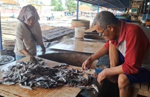 Tangkapan Ikan Sulit, Harga Ikan Asin di Muncar Banyuwangi Naik